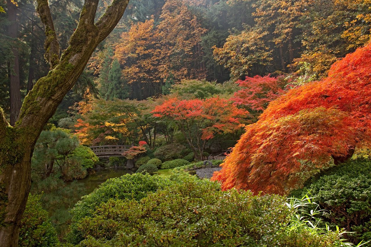 Portland Japanese Garden