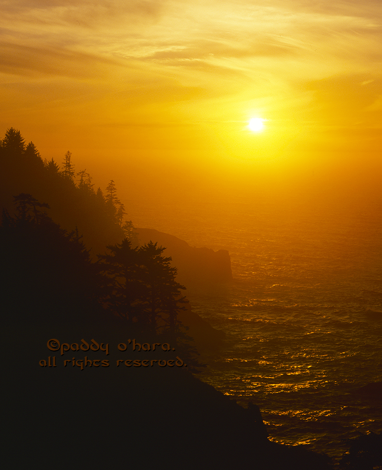 Primal Sunset (from 4x5)