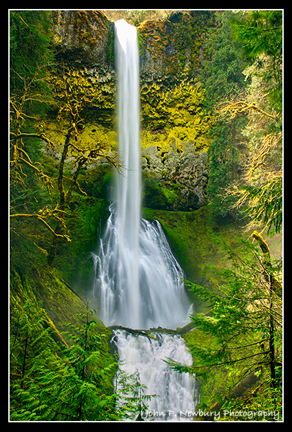 Private Falls - Off the beaten path, Clackamas Ranger District, My Hood Nat
