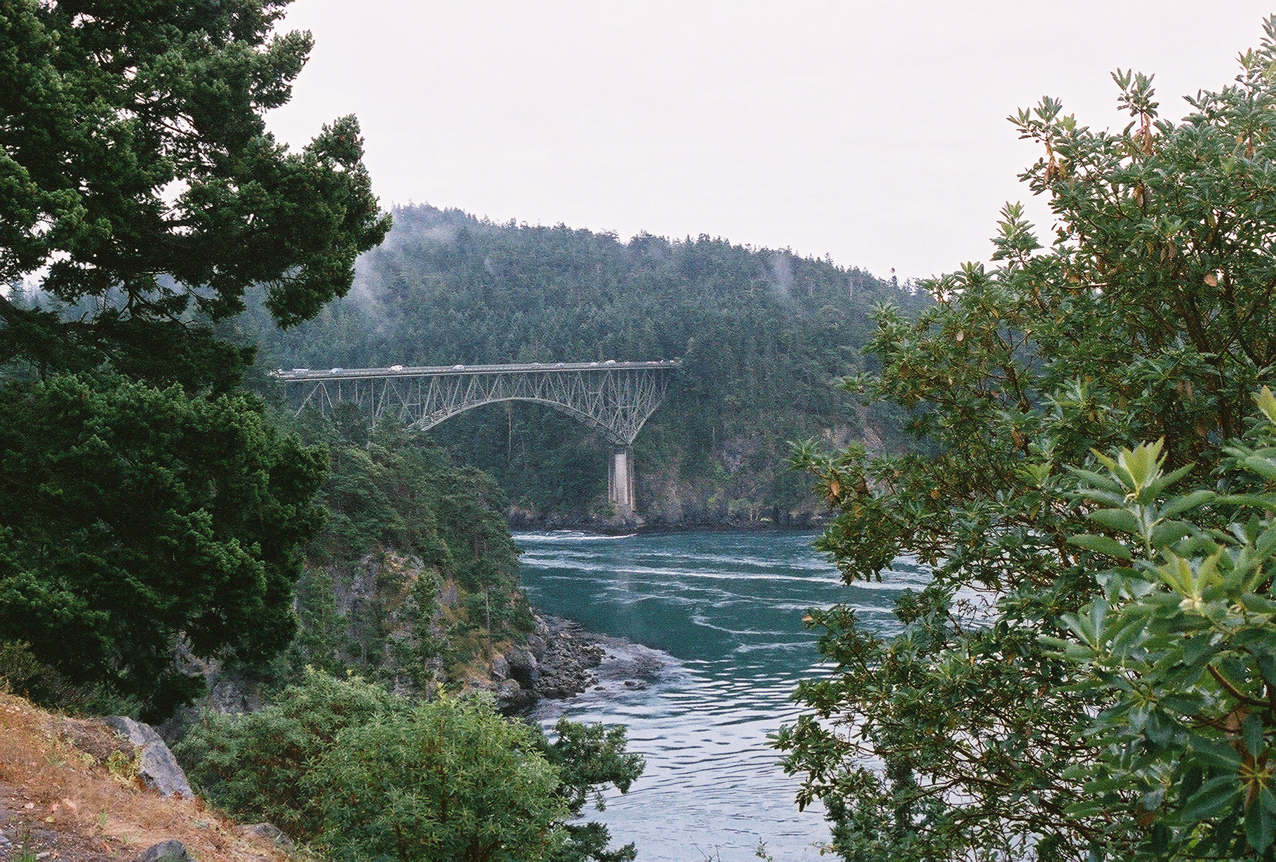 Puget Sound
