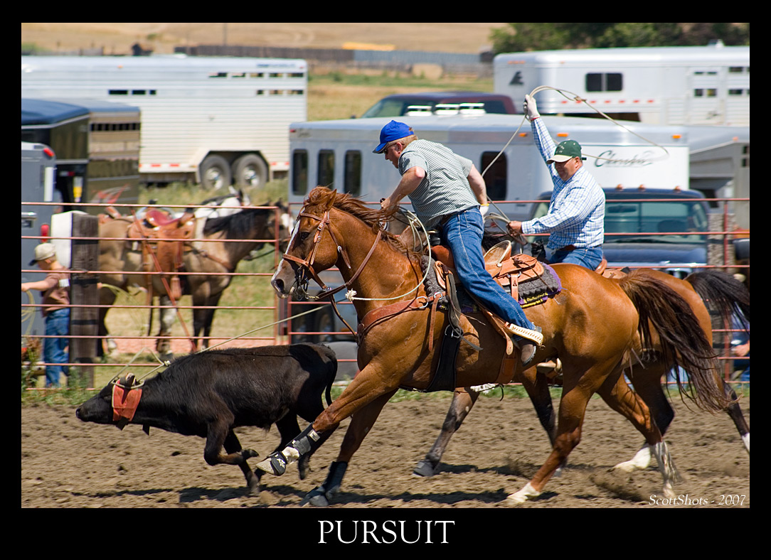 pursuit