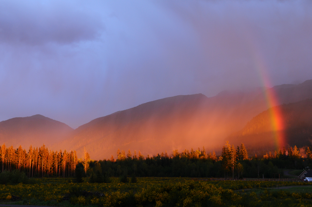 Rainbow