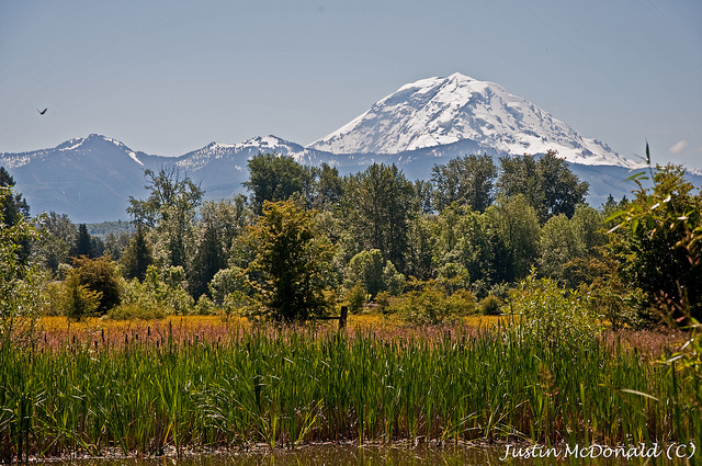 Rainer from Buckly