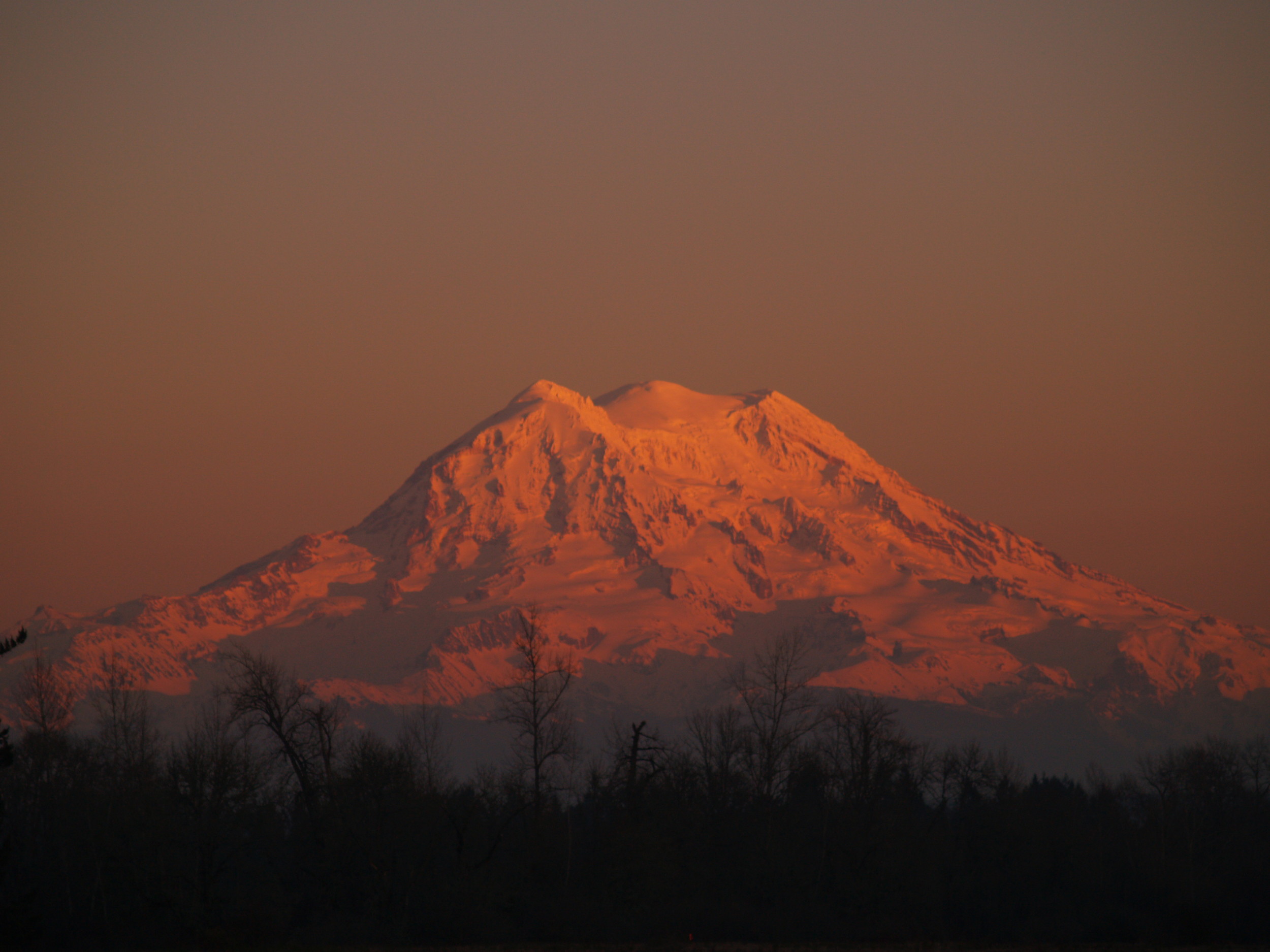 Rainier Sunset