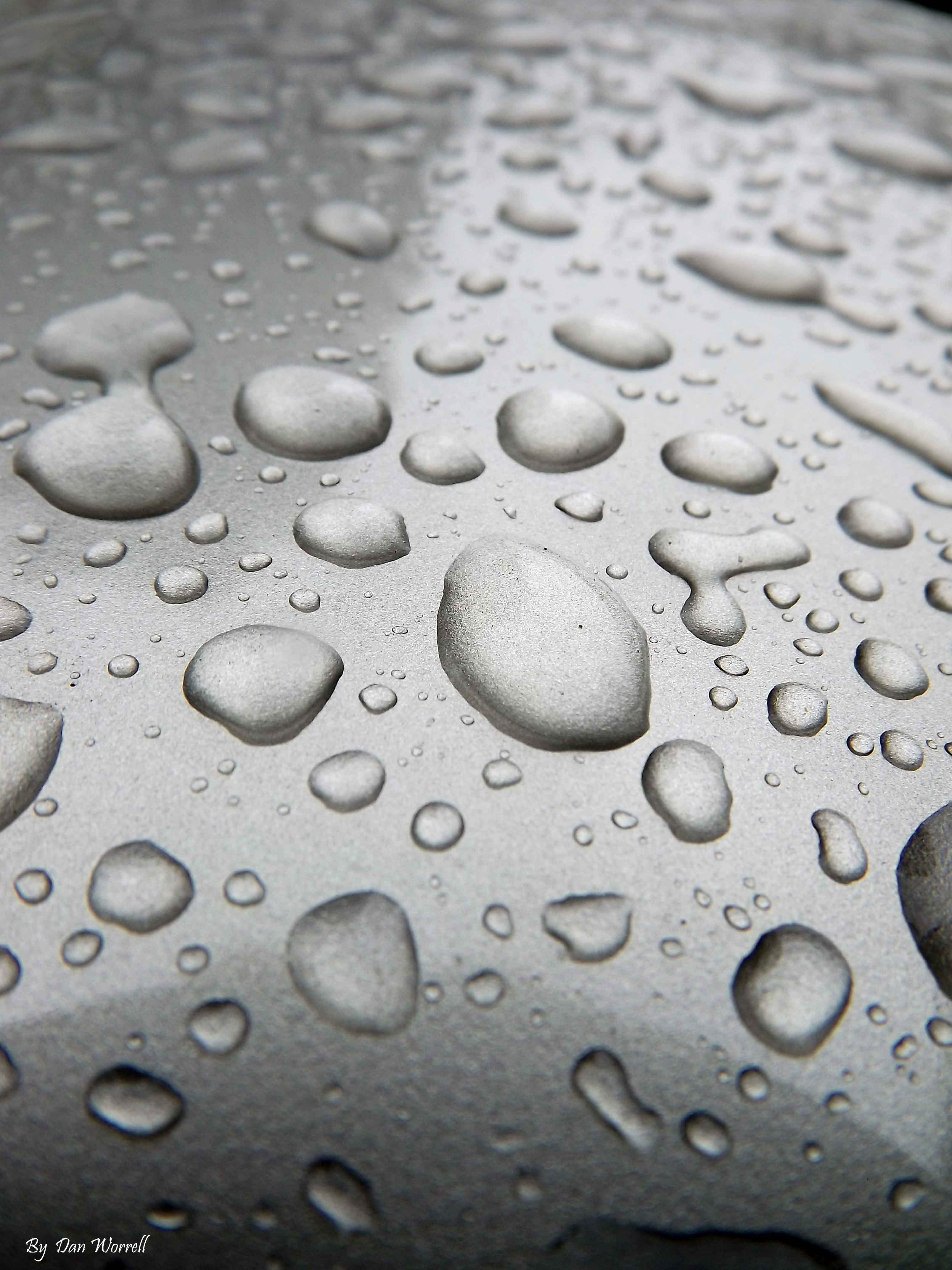 Rainy Day