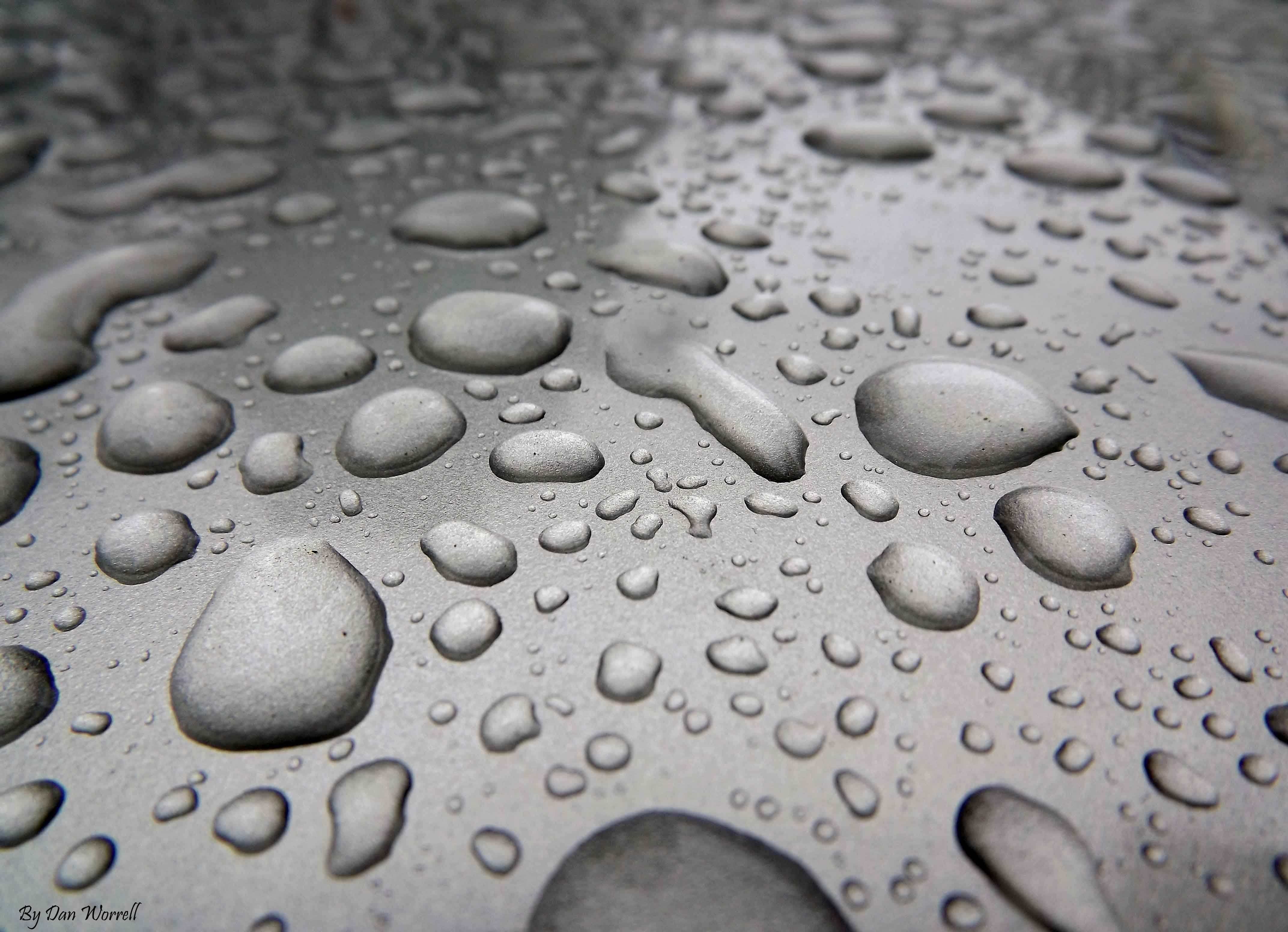 Rainy Day
