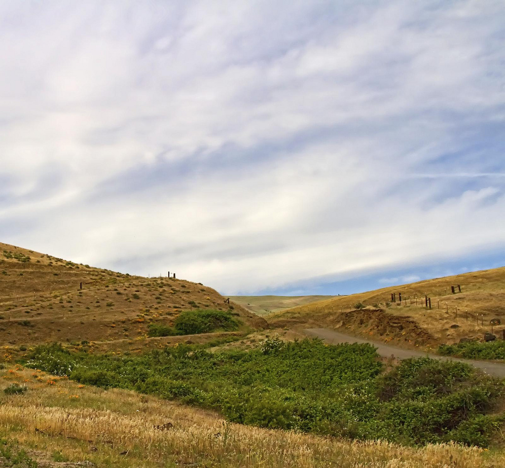 Ranch Road