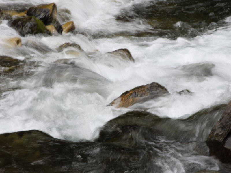 rapid-river-idaho