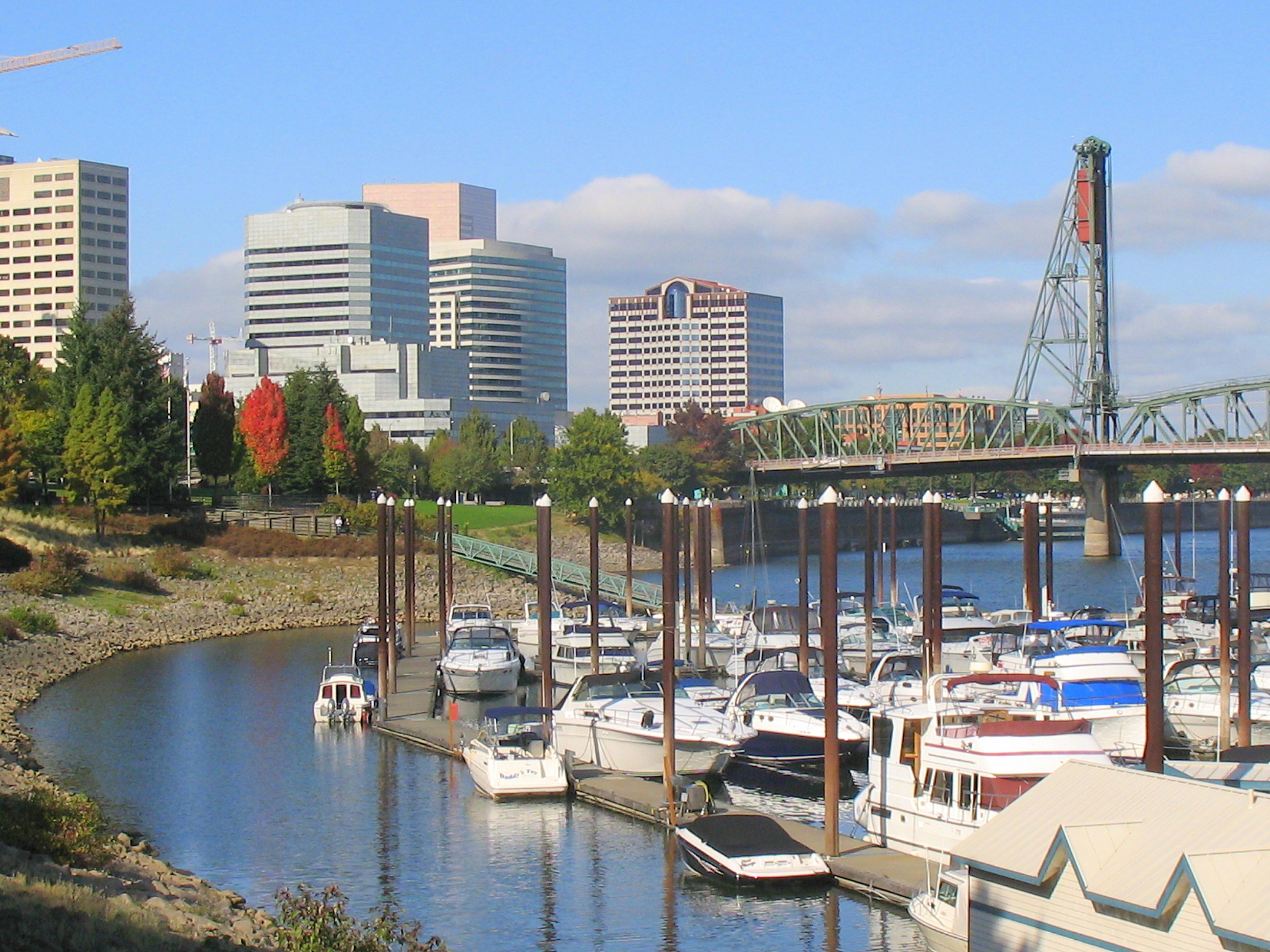 Rare_Day_in_Portland_Or