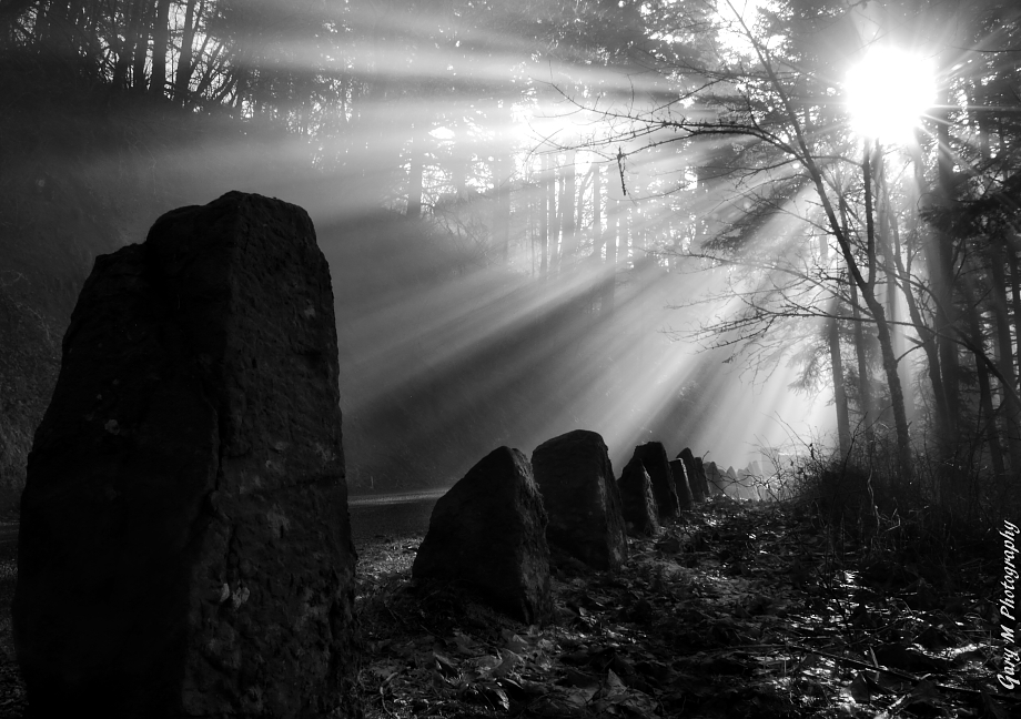 Rays of hope