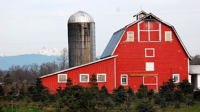 Red Barn