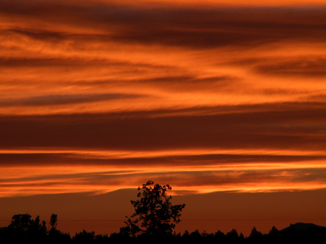 red sunset