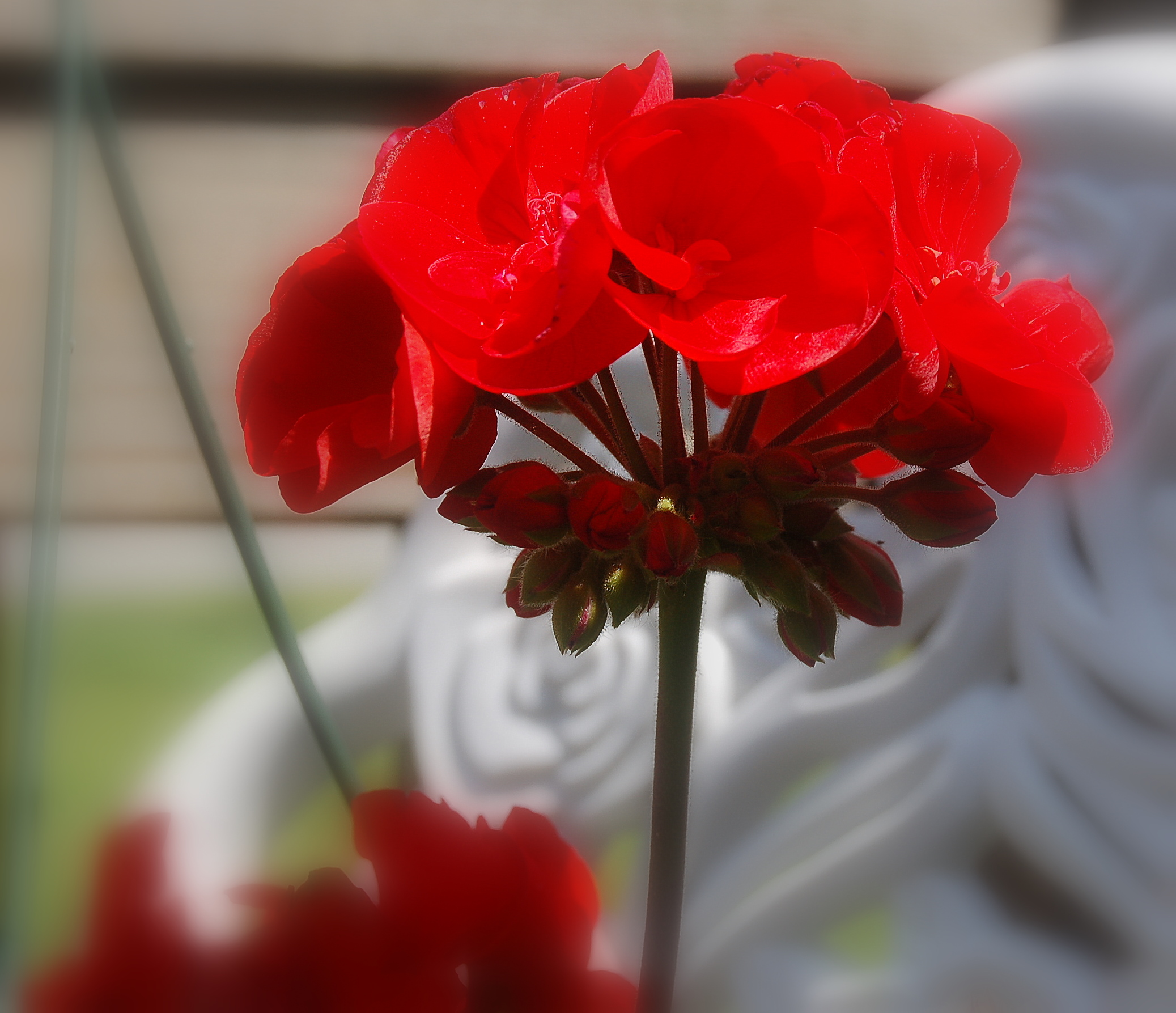 redred