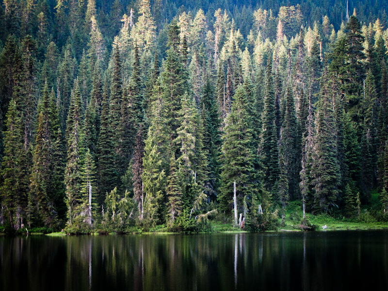 Reflection Lake, Mt. Rainier National Park, Washington