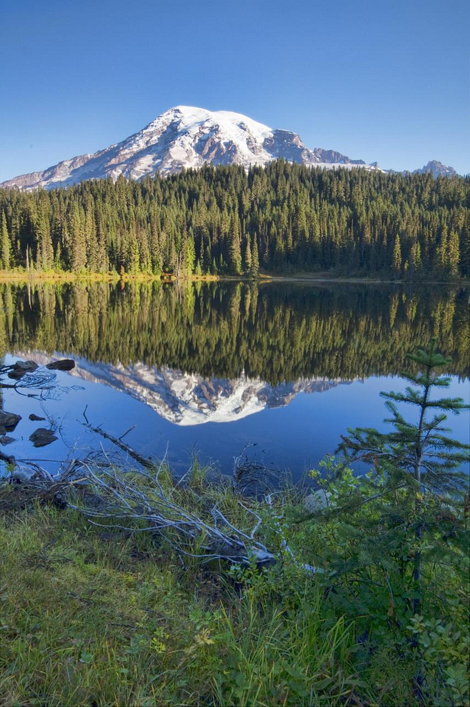 Reflection Lake
