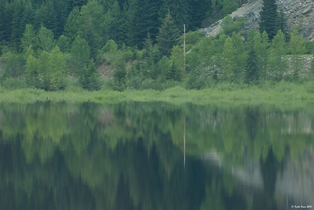 Reflection