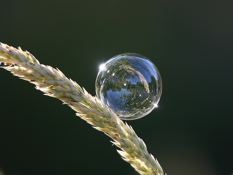 Refraction