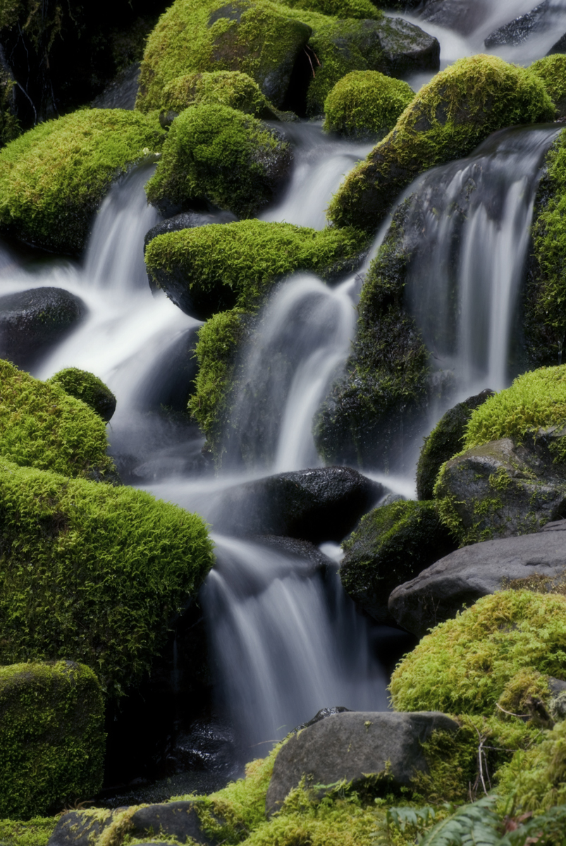 Refreshing