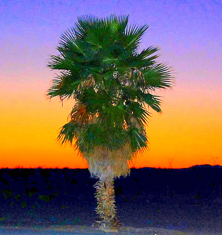 Rest Stop Sunset