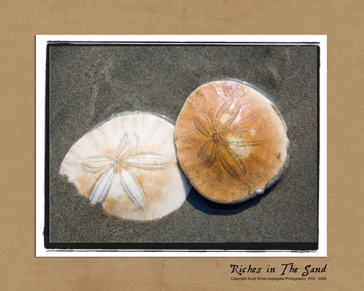 Riches in the Sand