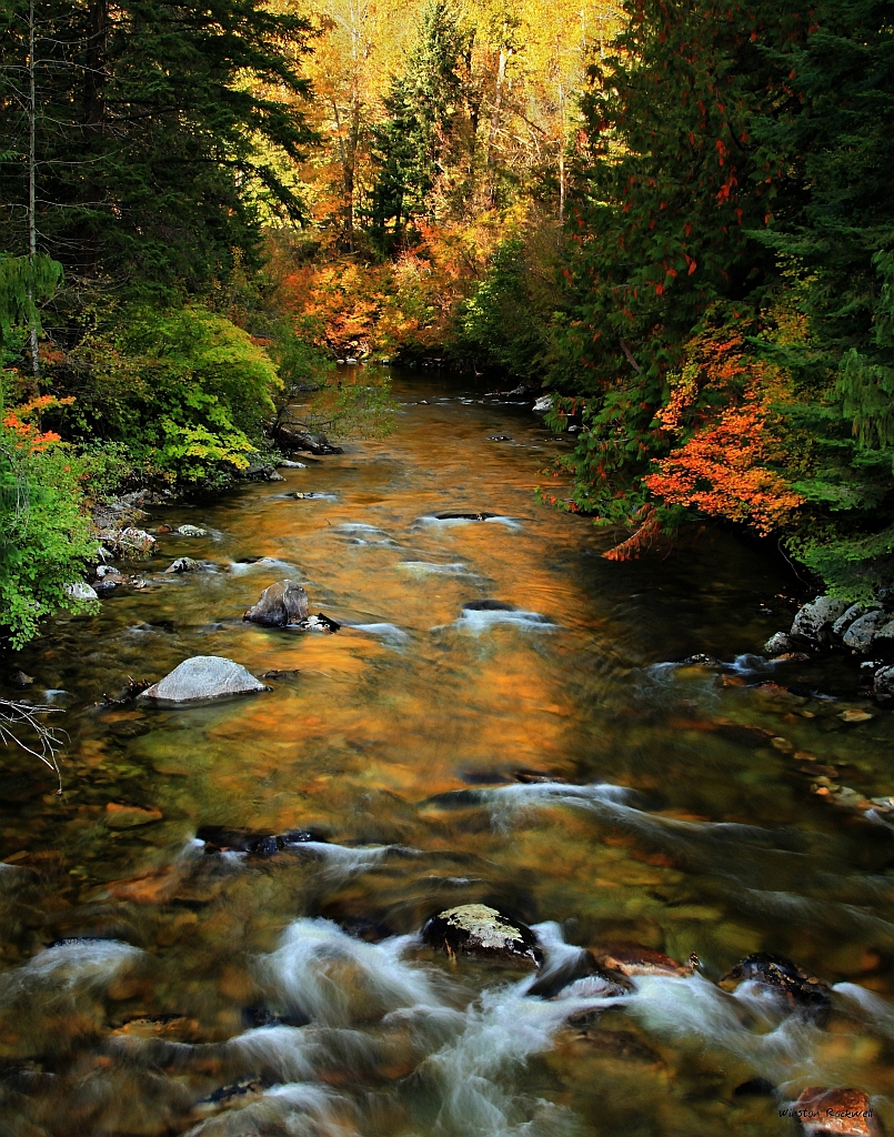 River of Gold