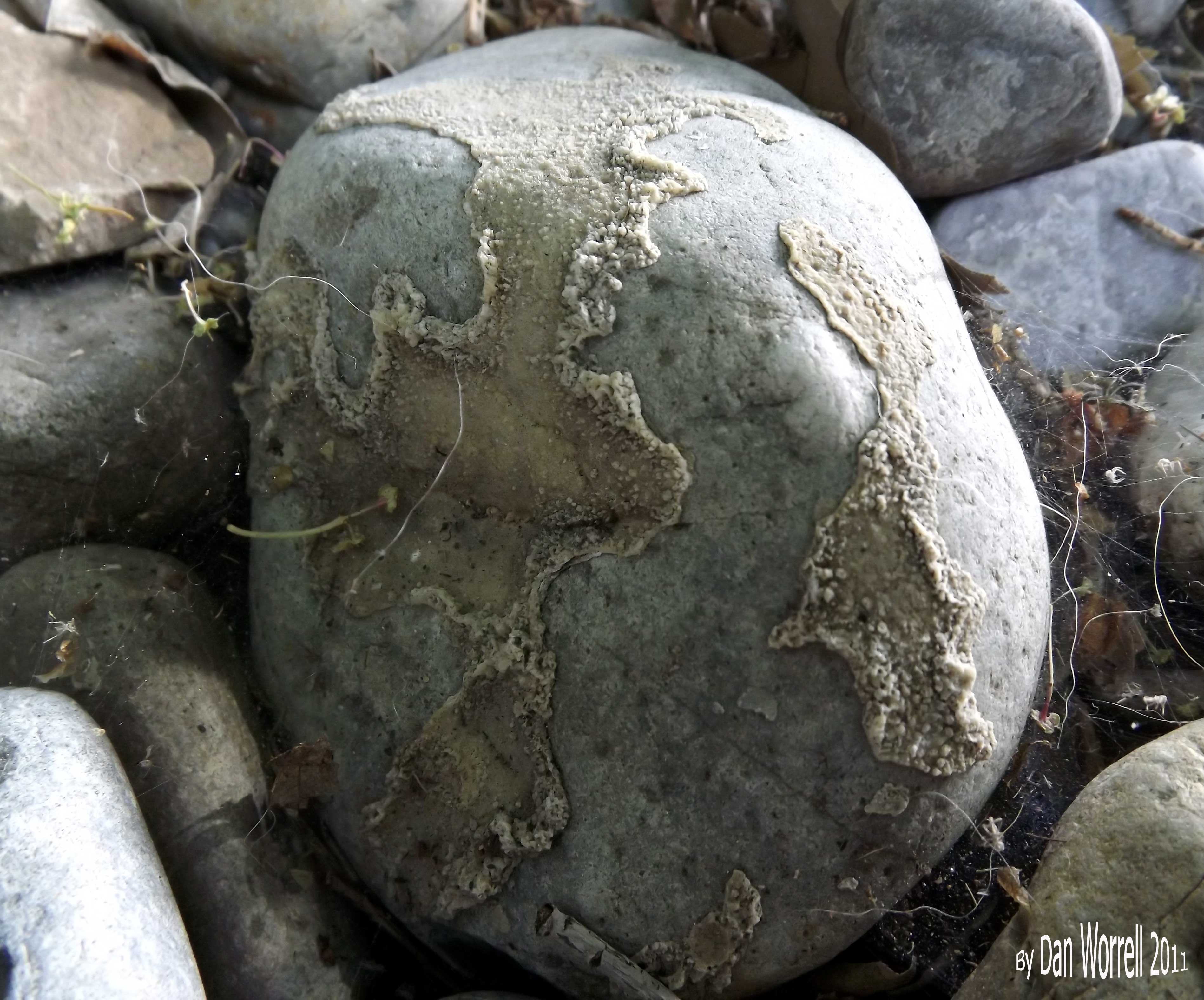 Rock