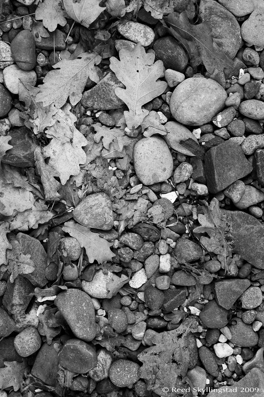 "Rocks Ahead"