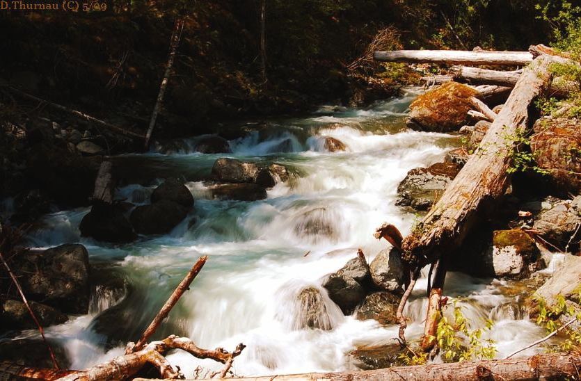 Rocky Creek