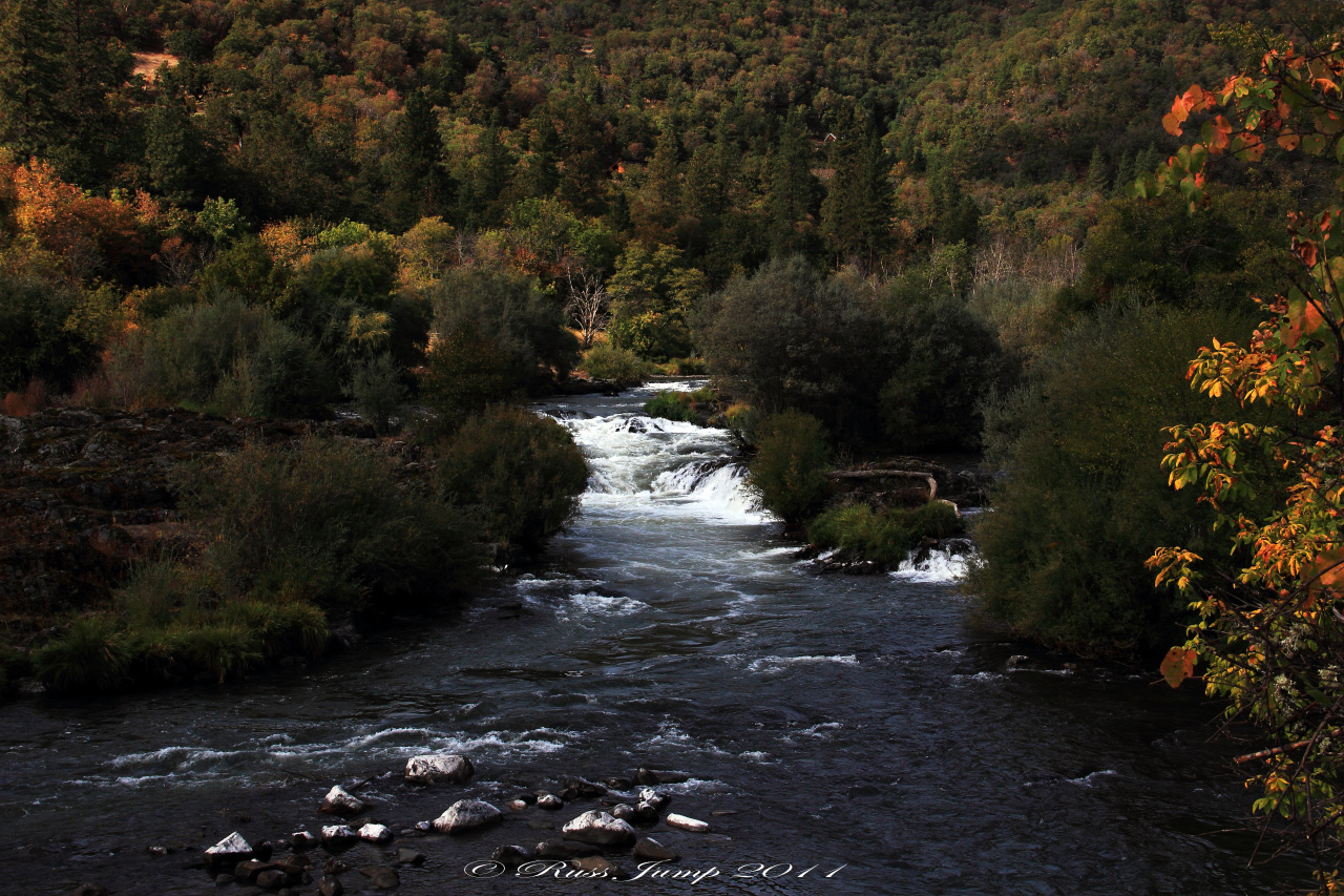 Rogue River IV