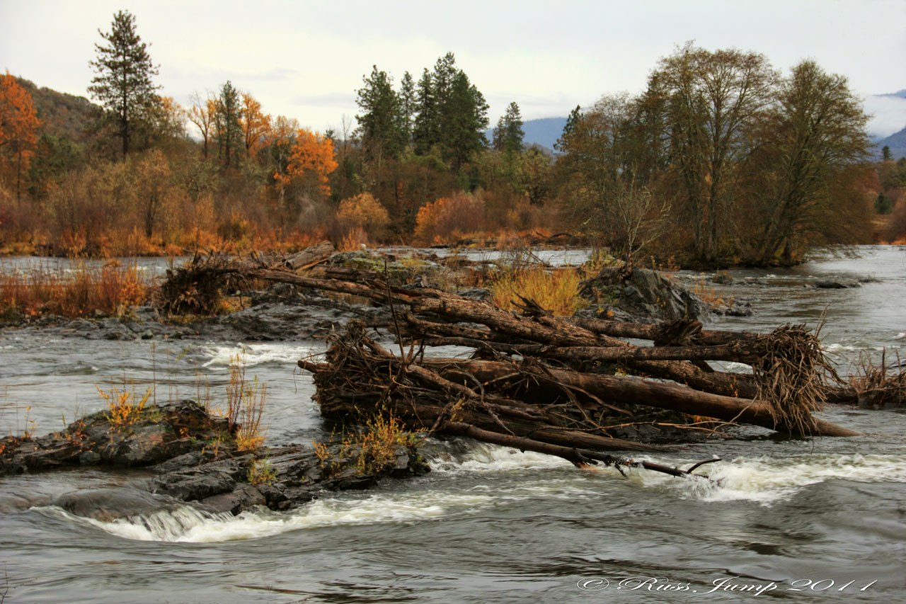 Rogue River V