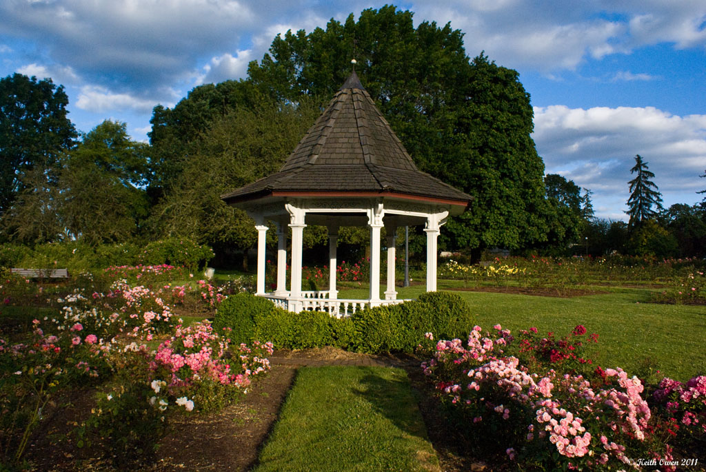 Rose Garden