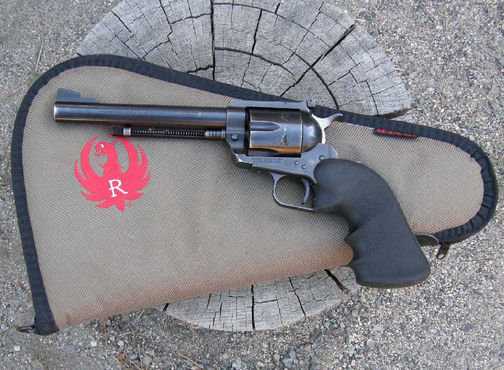 Ruger 41
