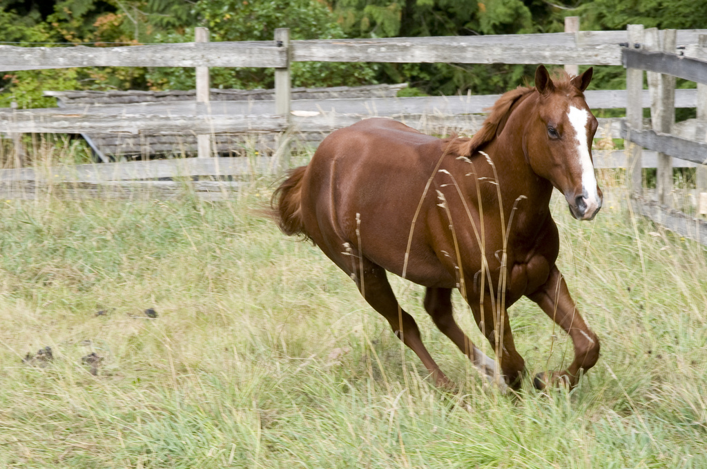 Running around