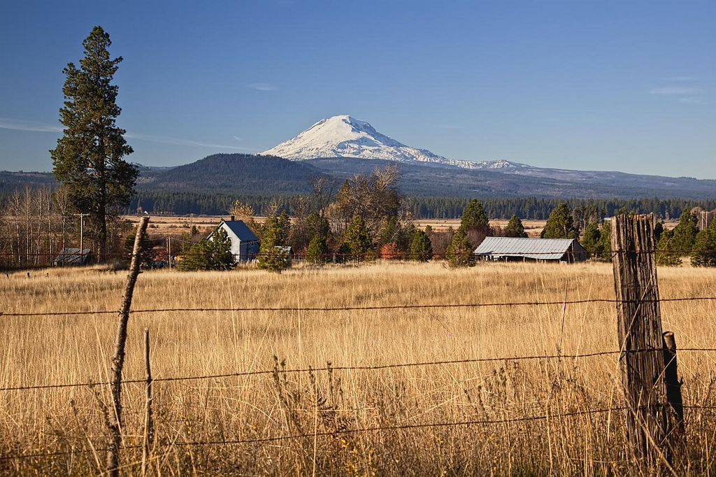 Rural Countryside