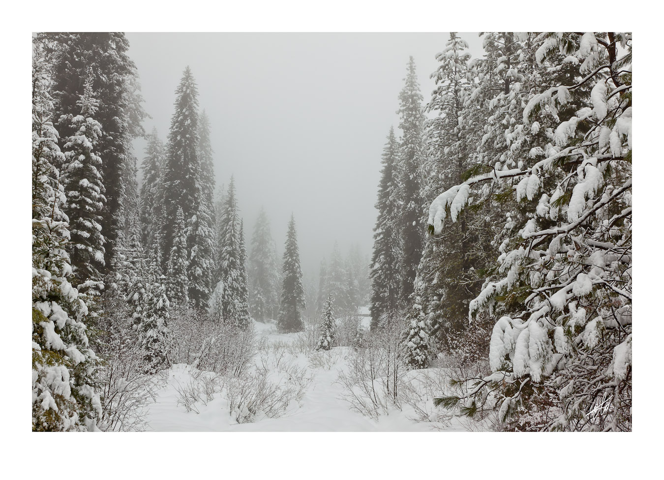 Sagehen reservoir in the winter.