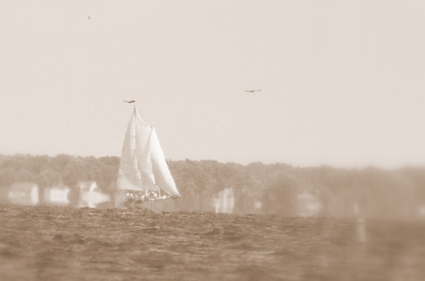 Sailing the Chesapeake