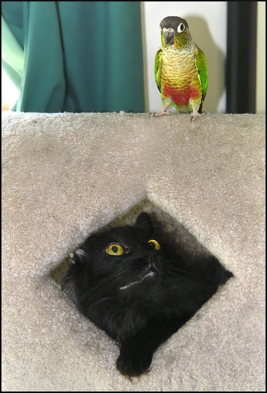 Sammy and Lilly
