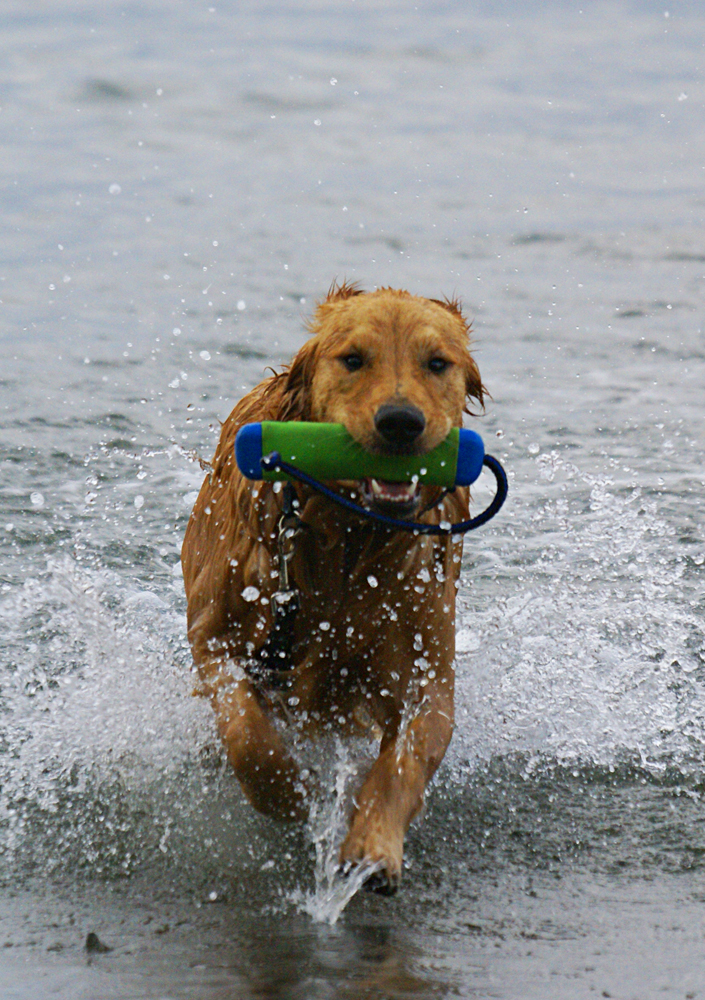 Samson in the Strait