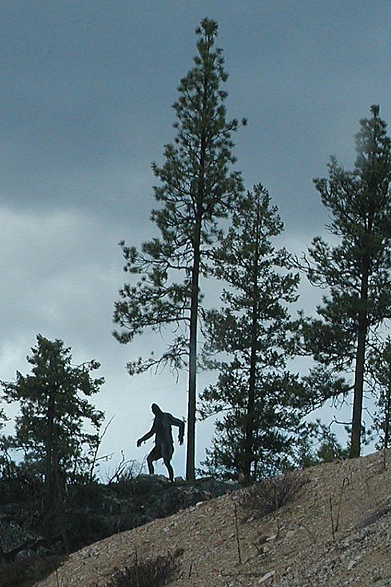 Sasquatch