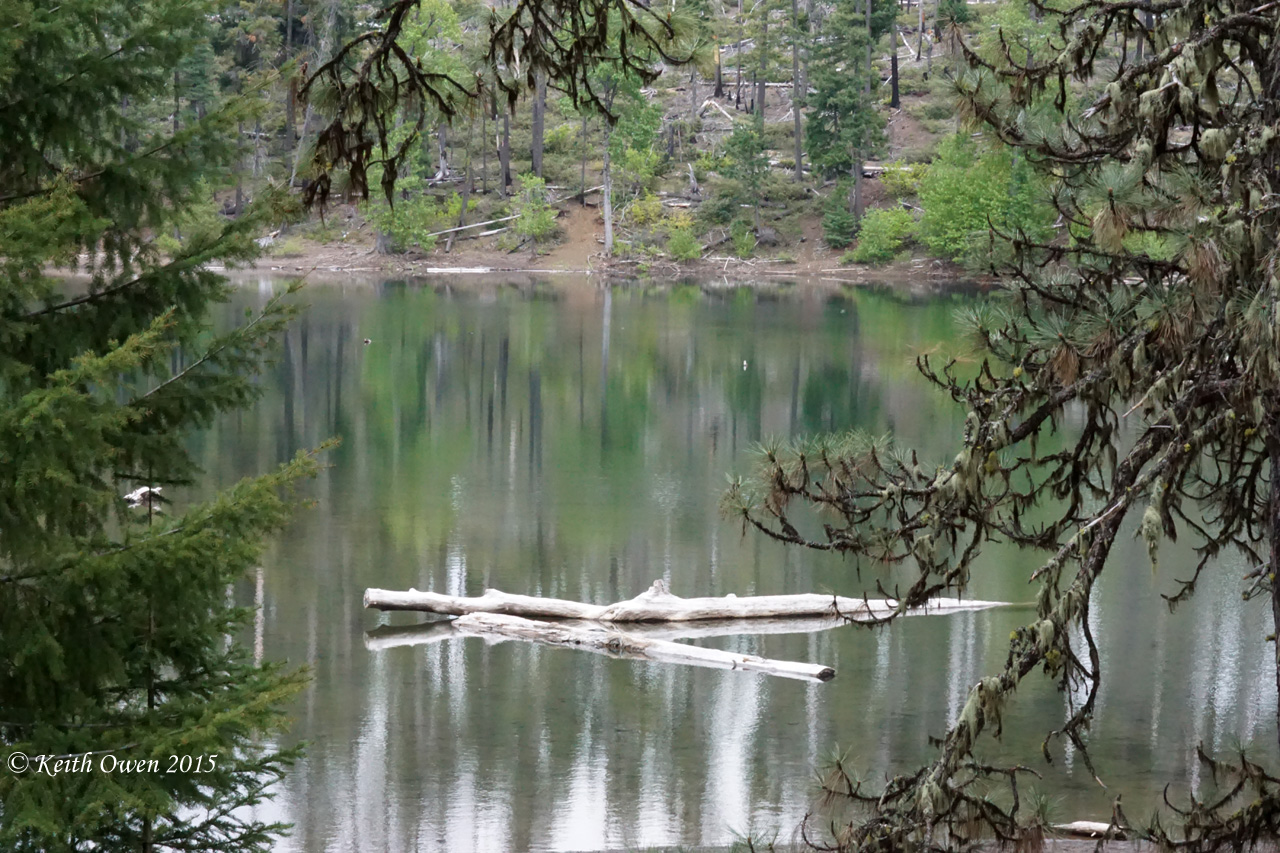 Scout Lake