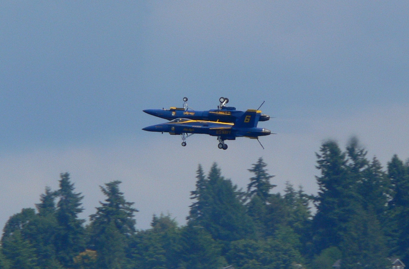 Seafair 2011