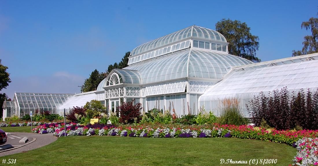 Seattle Conservatory
