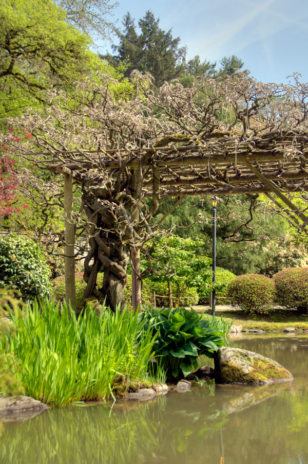 Seattle Japanese Garden