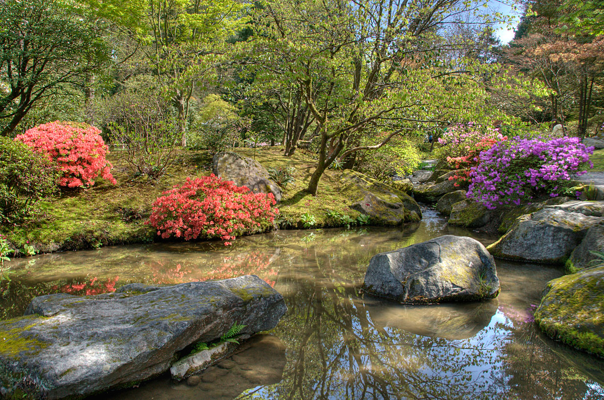 Seattle Japanese Garden