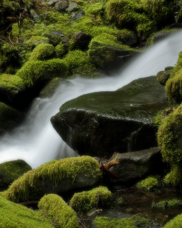 Serenity