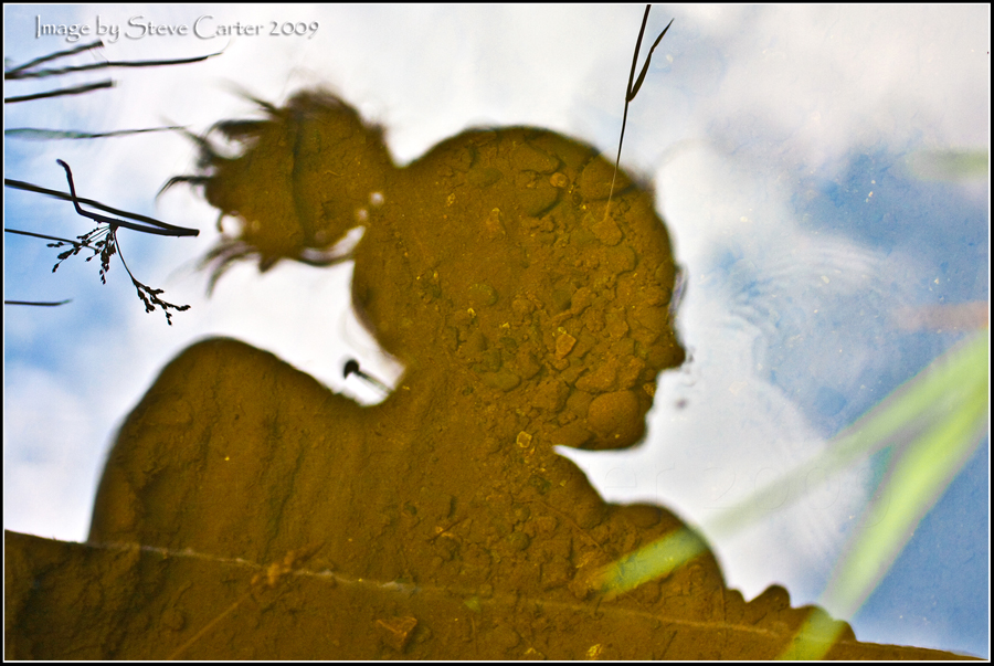 Shadow Reflections