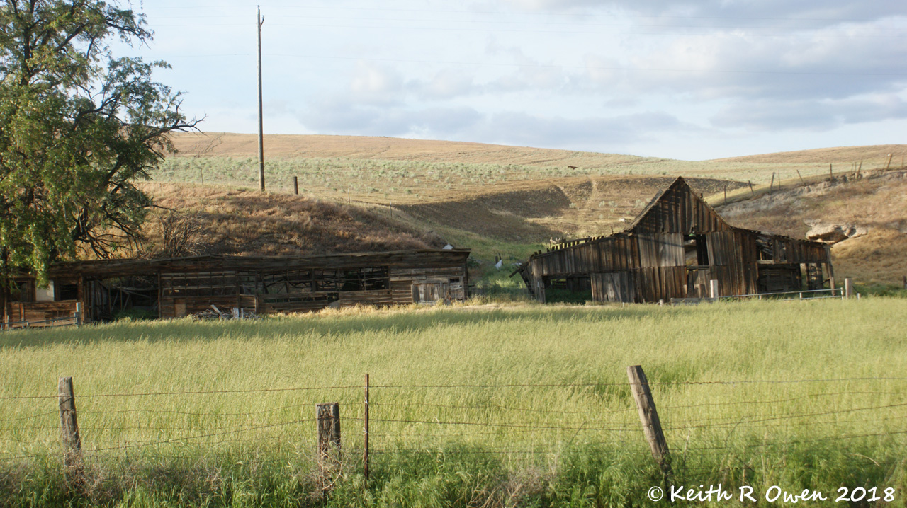 Shed and Barn