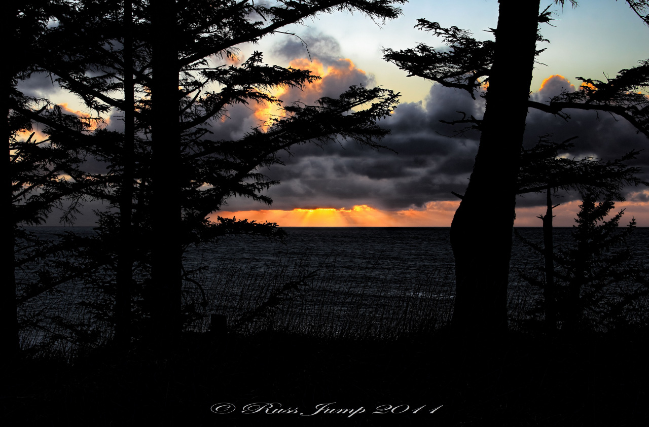 Shore Acres State Park VI