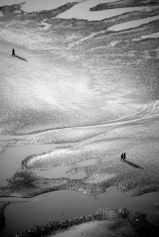 Shoreline