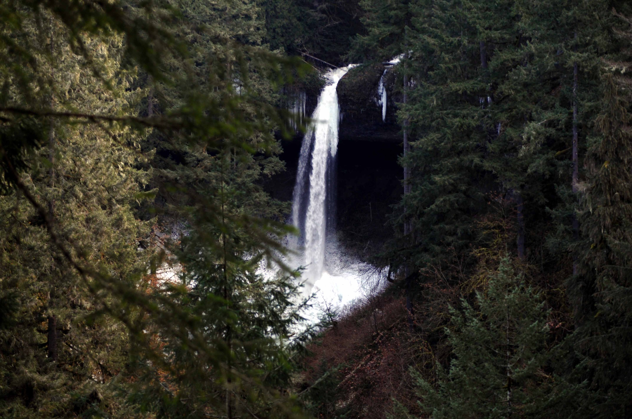 Silver Creek Falls In Winter